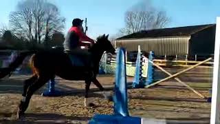 Horsequest ad 3