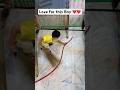 Why did this little BOY do that 🤔? | Pure Helping Hands of Mother #shorts #youtubeshorts #trending