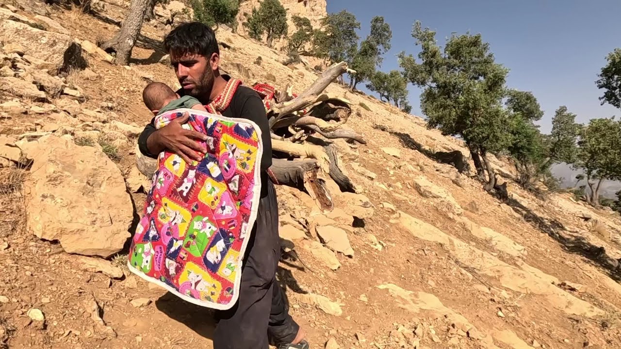 Collecting Firewood to Fuel the Hut and Feeding Baby Formula by his ...