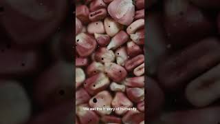 EAT |  Trailer | Ceres Food Film Festival