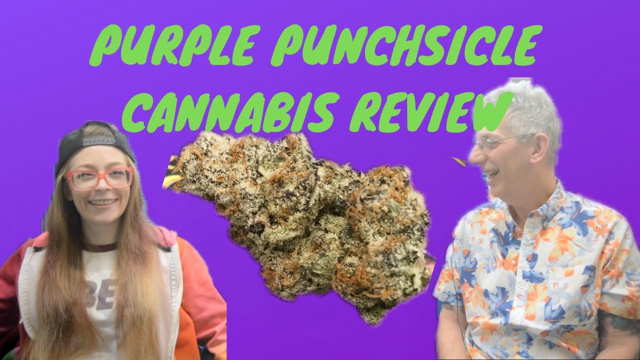 PURPLE PUNCHSICLE Cannabis Strain Review with MissMidas420x