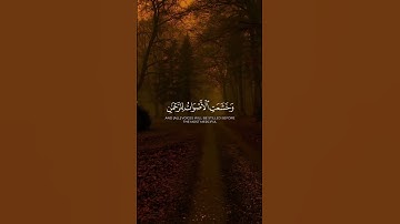 أكتب شيء تؤجر عليه ❤️‍🩹#القارئ_محمد_اللحيدان #سورة_طه #قران_كريم #قرآن