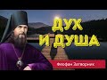 Дух и душа человека - Феофан Затворник