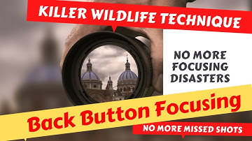 Back Button Focus Killer Technique For Wildlife Photography