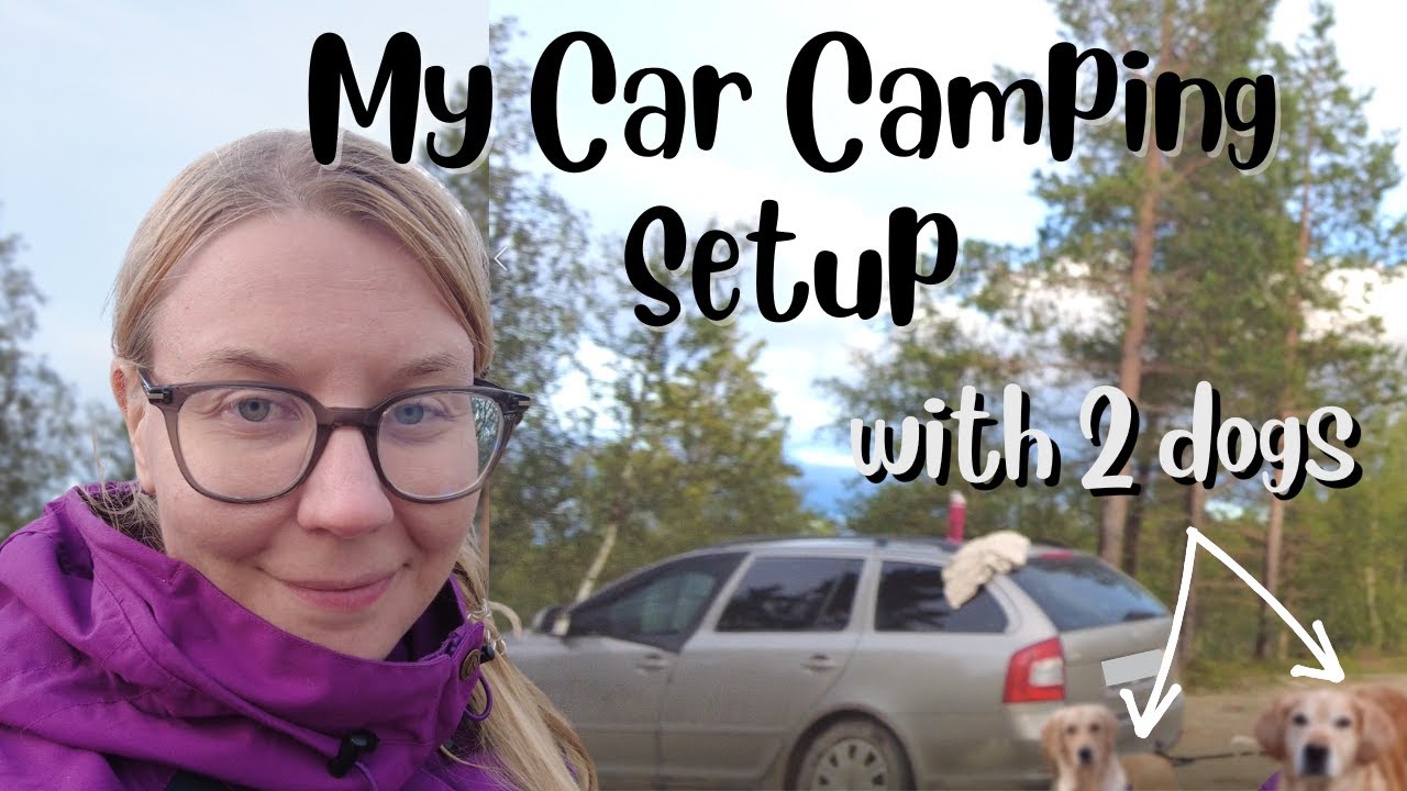 No Build Car Camping Setup Car Camping with 2 Dogs?! YouTube