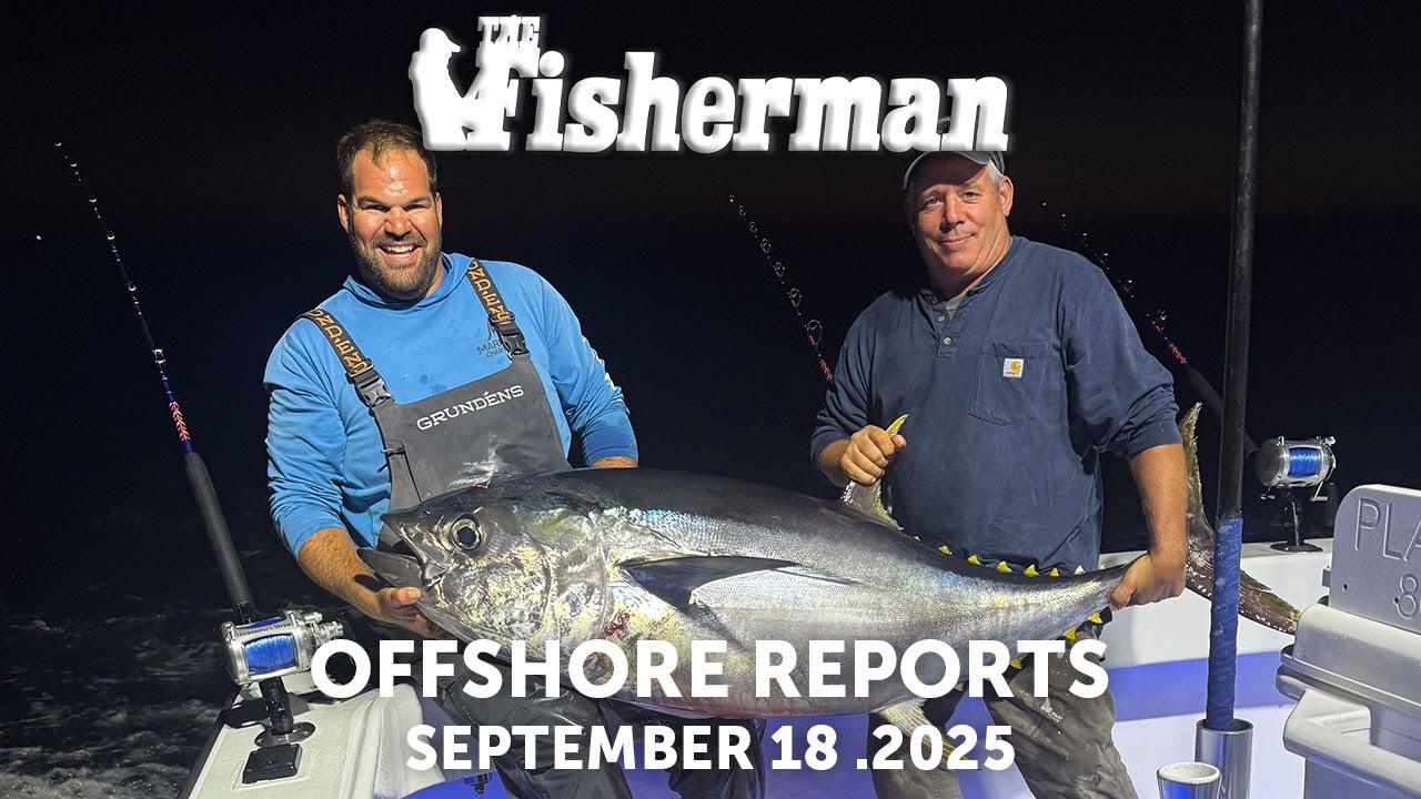 Offshore Reports September 18th, 2025