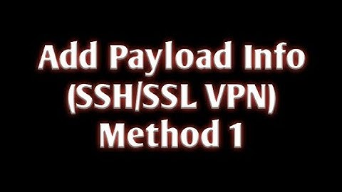 Add Payload Info in SSH/SSL VPN src