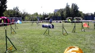 Dozvuky Leta S Agility