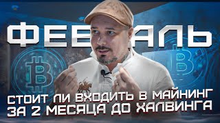 Стоит ли входить в Майнинг в феврале 2024 за 2 Месяца до Халвинга | Биткоин по 50000$