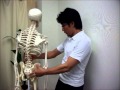 「肩こり」「猫背」解消!!　テニスボールマッサージ Home exercises for stiff shoulders by using tennis ball - Youji Furukawa