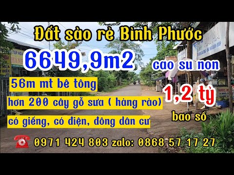 Video Vườn cao su non giá rẻ, 56m mt bê tông, điện nước có... - youtube