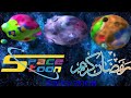 Spacetoon Arabic 2005 2008 Planet Comedy Action And Adventure Ending Ramadan Spacetoon Arabic 2005 2008 Planet Comedy Action And Adventure Ending Ramadan