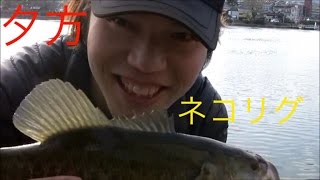瀬田川リベンジ！！夕方編！！冬にバスが釣れる！！