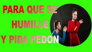 Download Hechizo Para Que Te Pida Perdon De Rodillas Como Un Perro Video MP3 Hechizo Para Que Te Pida Perdon De Rodillas Como Un Perro