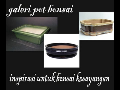 video aneka pot  bonsai  keramik YouTube