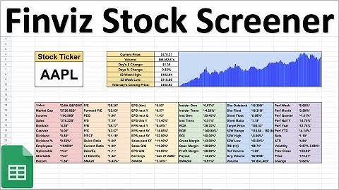 Finviz Stock Screener in Google Sheets! (Build your own Stock Screener!)