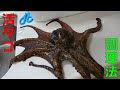 タコのさばき方、茹で方～刺身で食べる方法～【一流の料理人】