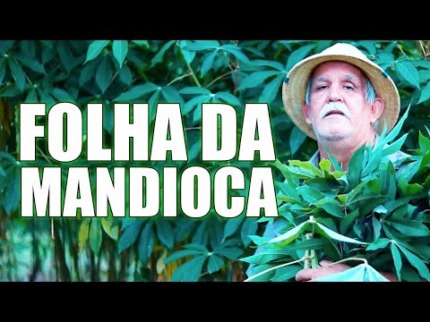SE VOCÊ SOUBESSE