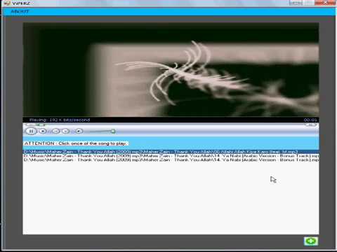 VB 2008 Basic Media Player