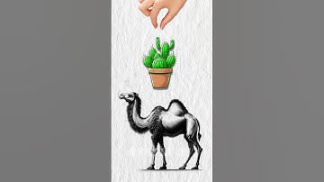 Which Cactus 🌵 Brainrot you like? Part 2