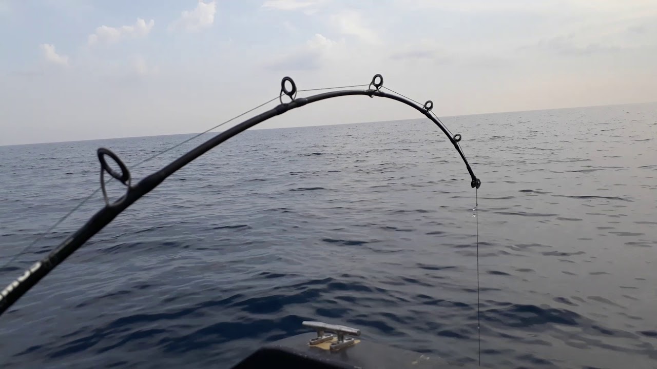 Deep drop #mercan#derin su #ÖZKANLAR av