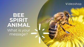 Bee Spiritual Meaning | Bee Spirit Animal #beespiritualmeaning #beespiritanimal