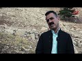 کەڵە کێویەکانی دەربەندیخان لە نێوان خەمی ژینگە دۆستان و تیغی راوچیەکان و وشکەساڵیدا کەڵە کێویەکانی دەربەندیخان لە نێوان خەمی ژینگە دۆستان و تیغی راوچیەکان و وشکەساڵیدا