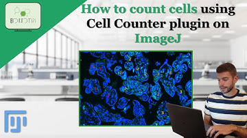 How to count cells using the Cell Counter Plugin on ImageJ #cell #count #plugin #imagej #science