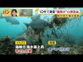 桝キャスターが見た海の異変　「釣りの聖地」まるで砂漠化　“磯焼け”対策とは【バンキシャ！】