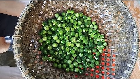 CÁ KHÔ GIÃ CÀ DẠI - MÓN NGON CỦA THỜI THIẾU 1 BỮA NO - ĐẶC SẢN CỦA NÚI RỪNG TÂY BẮC 