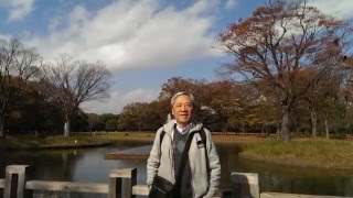 2015.11.26-12.1 東京自助旅行六天(拍攝BY蔡嘉益)