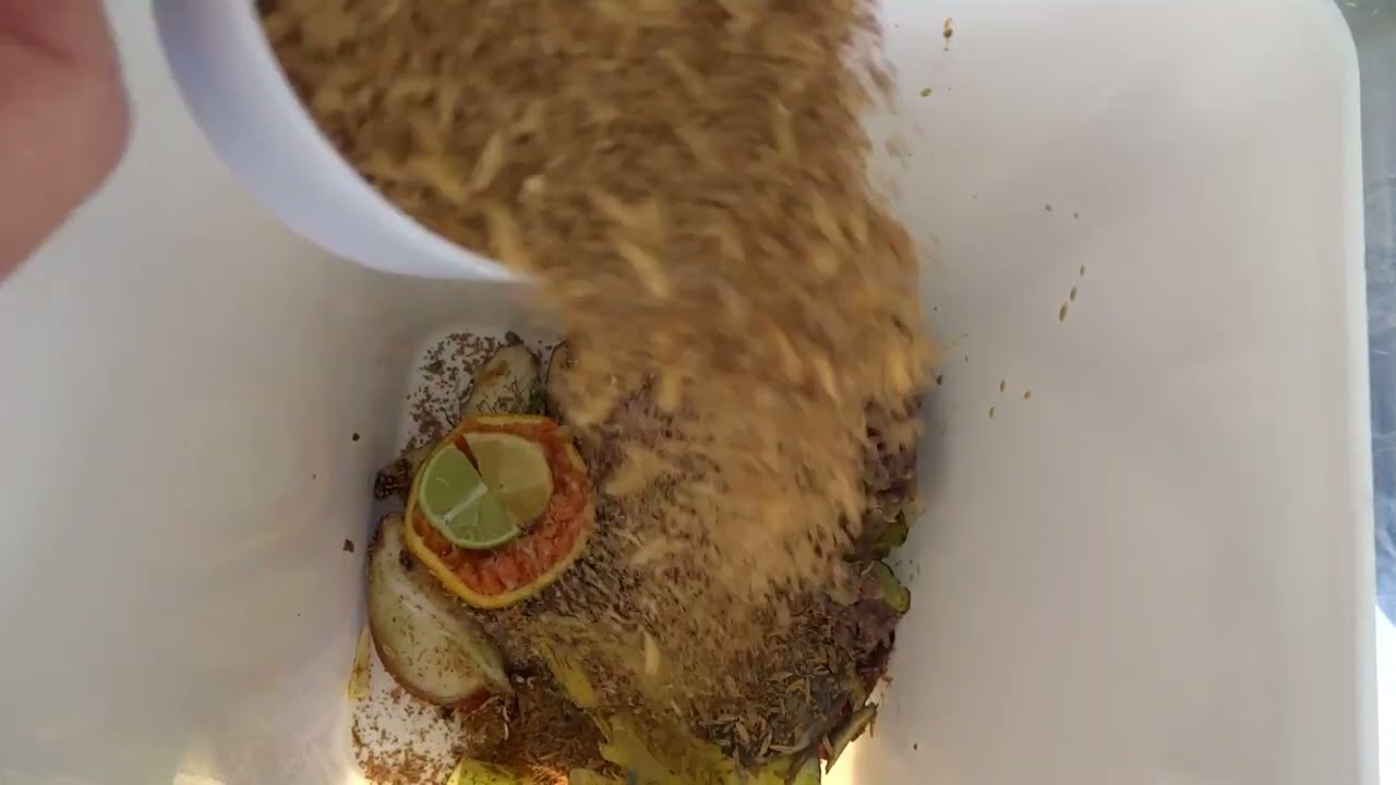 Part 1: Compost Comparison between Bokashi Spray, Bran, Water and Nothing Added