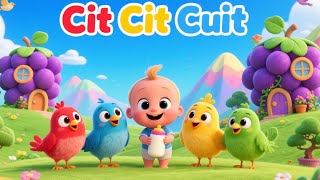 CIT CIT CUIT BURUNG BERNYANYI - LAGU ANAK BALITA INDONESIA - LAGU ANAK POPULER | Kids MiMoy