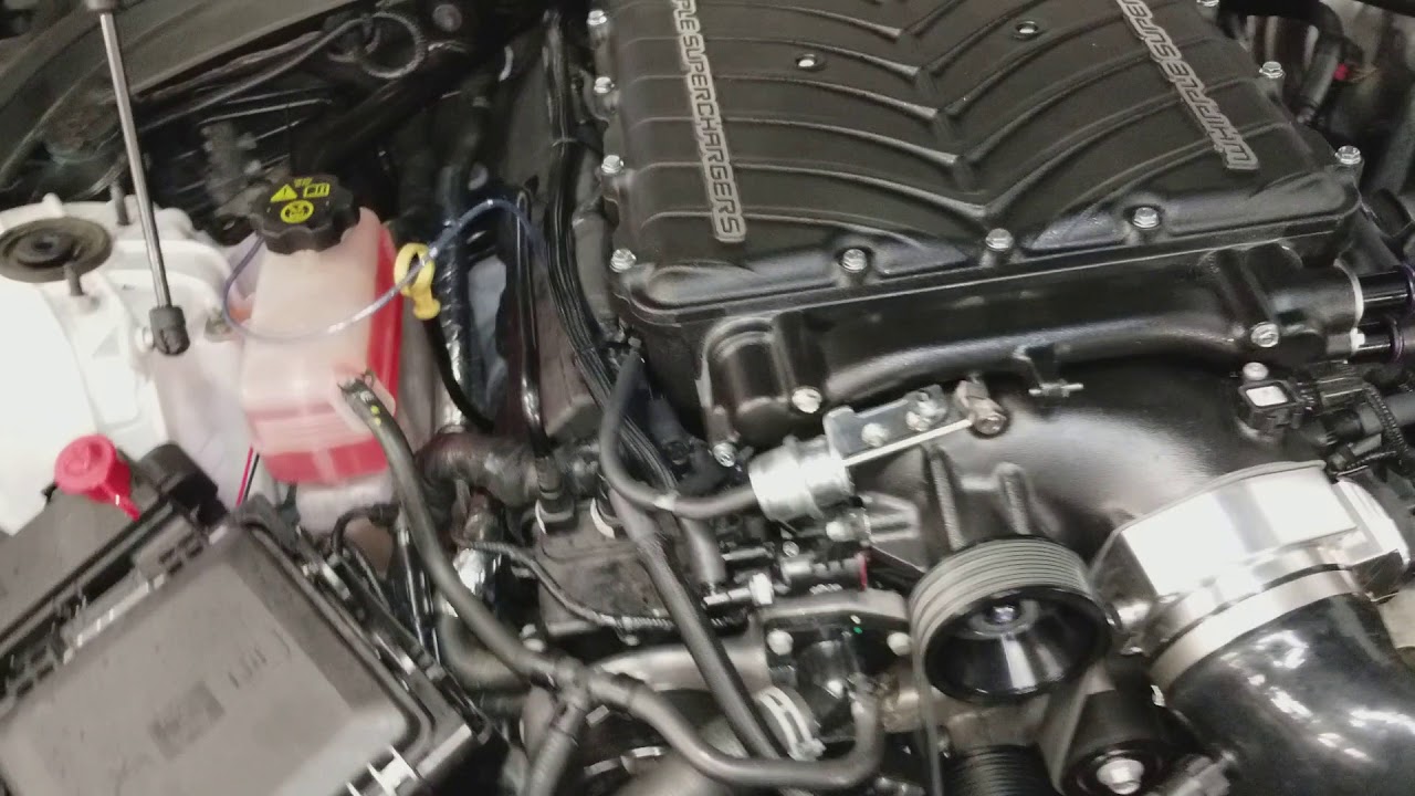 Lifter tick LT4 YouTube