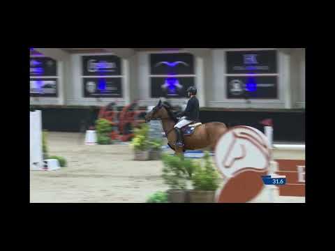 Nueva Epoca de Regor 140 Final CSI2* Peelbergen 12th Place