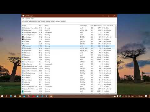 Windows 10 Task Manager How to know what a process is for by searching online