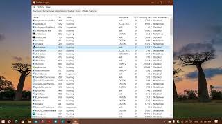 Windows 10 Task Manager How to know what a process is for by searching online