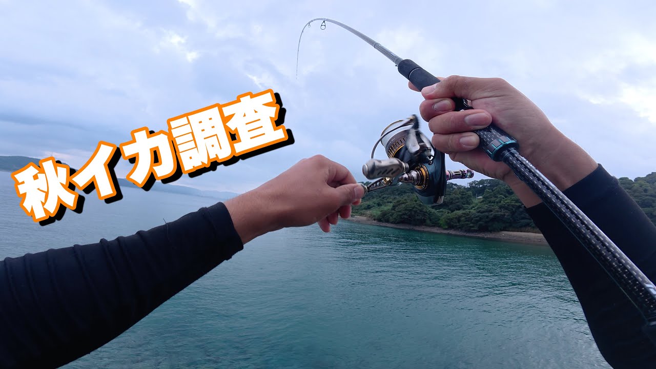 [Осенний эгинг кальмара] Три победы подряд на первом турнире! Надёжный эгинг не разочарует.