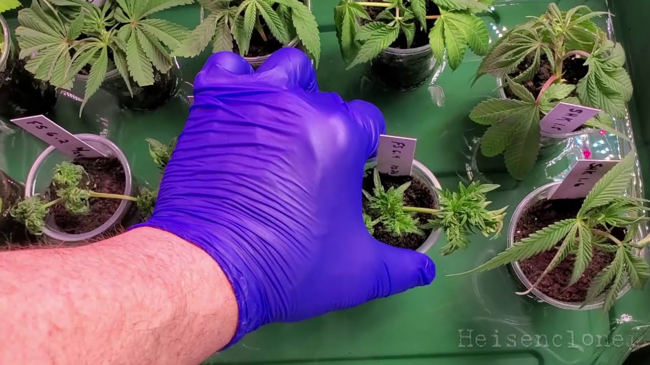 Thanks for stopping by!