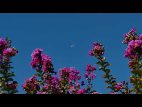 낮달 (Daytime Moon) - 서율 (SEOYUL)