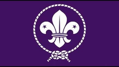 Were All Together Again • Scout Songs