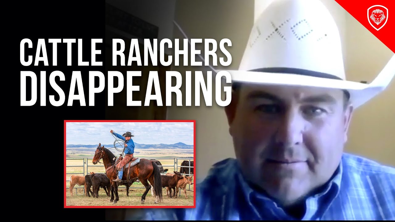 Why American Cattle Ranchers are Going Bankrupt - YouTube
