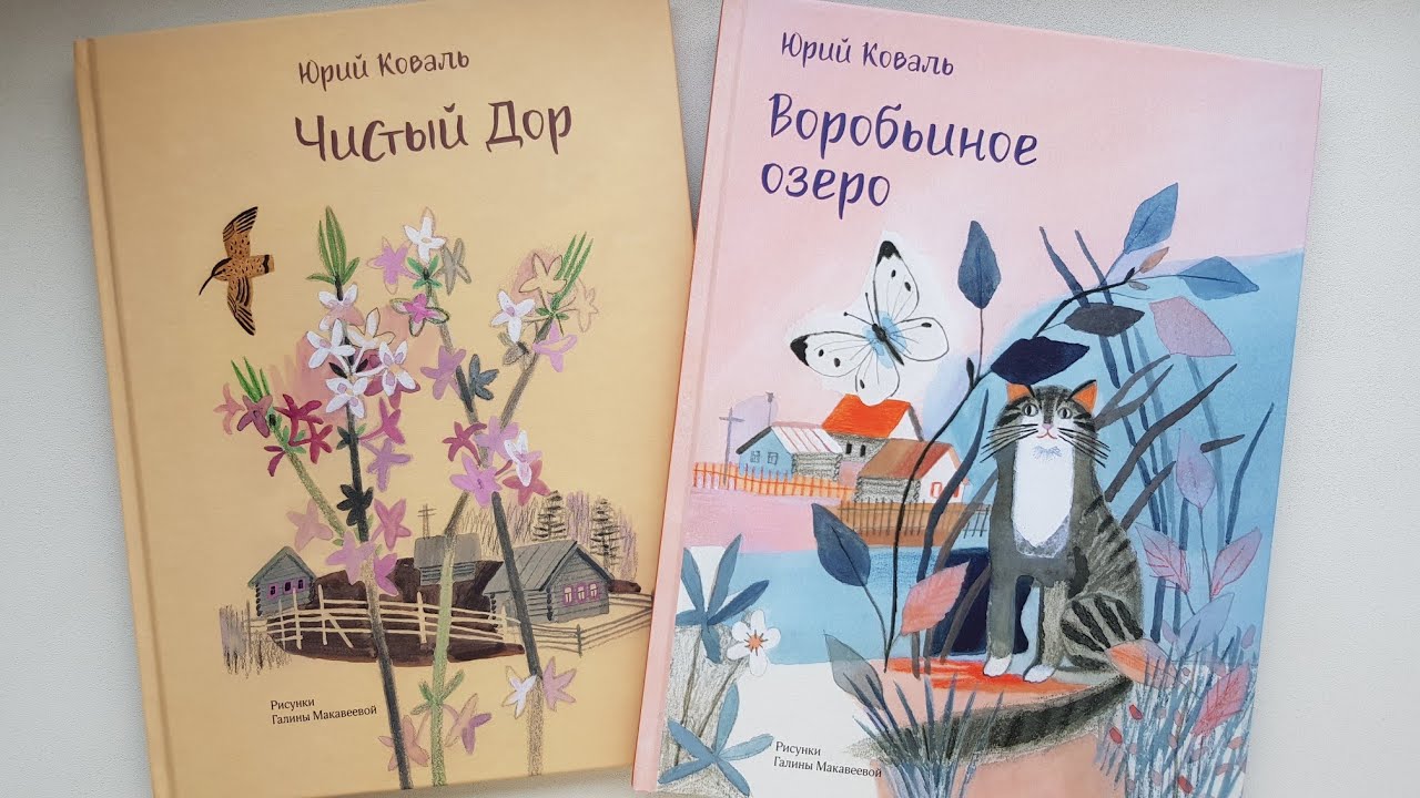 Вася Провел Новогодние Праздники