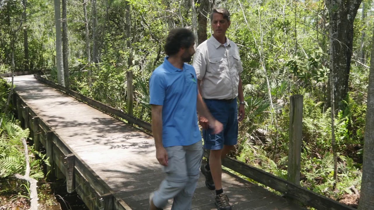 mediacom internet Battleground Everglades - Survival at Stake - Preview