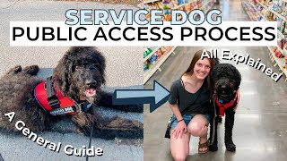 SERVICE DOG PUBLIC ACCESS PROCESS | a guide on how to public access train your service dog