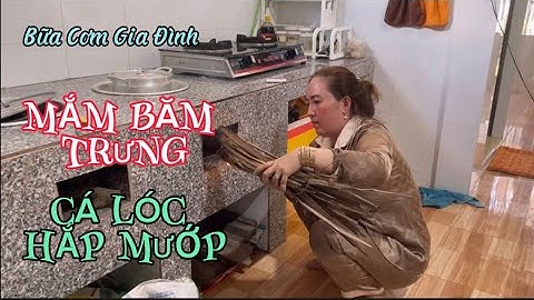 Bữa Cơm Gia Đình |Mắm Băm Trưng - Cá Lóc Hấp Mướp