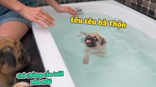 Lần Đầu Cho Báo Tập Bơi Cười Sặc Nước