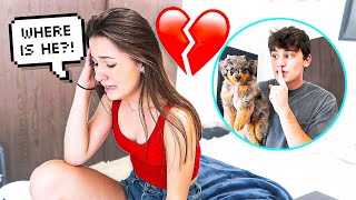 OUR PUPPY IS MISSING *PRANK ON FIANCE*