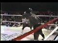 Earnie Shavers vs. Jeff Sims PART 3_3.mp4