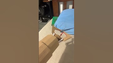 Made robot arm #cardboard